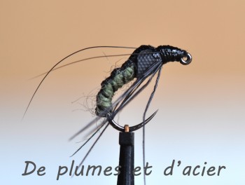 Noyée émergente de Trichoptère 