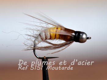 Larve de Trichoptère lestée