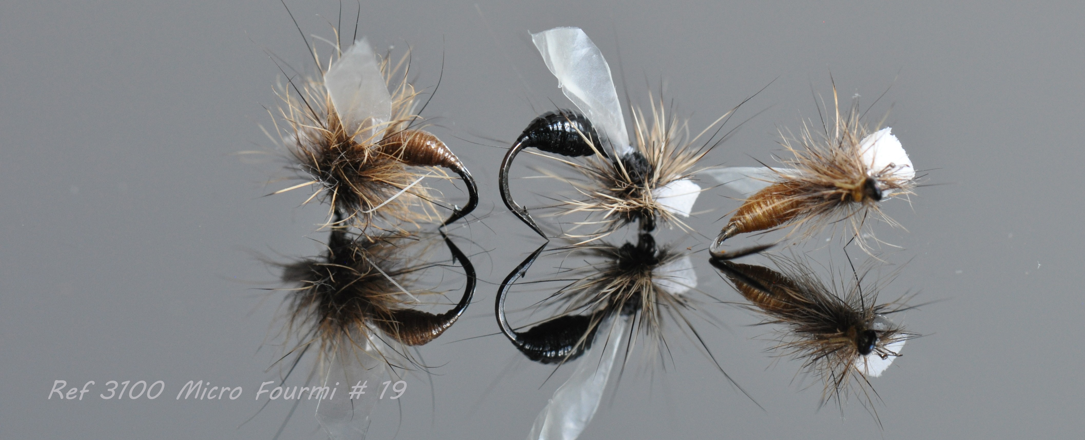 De plumes et d'acier