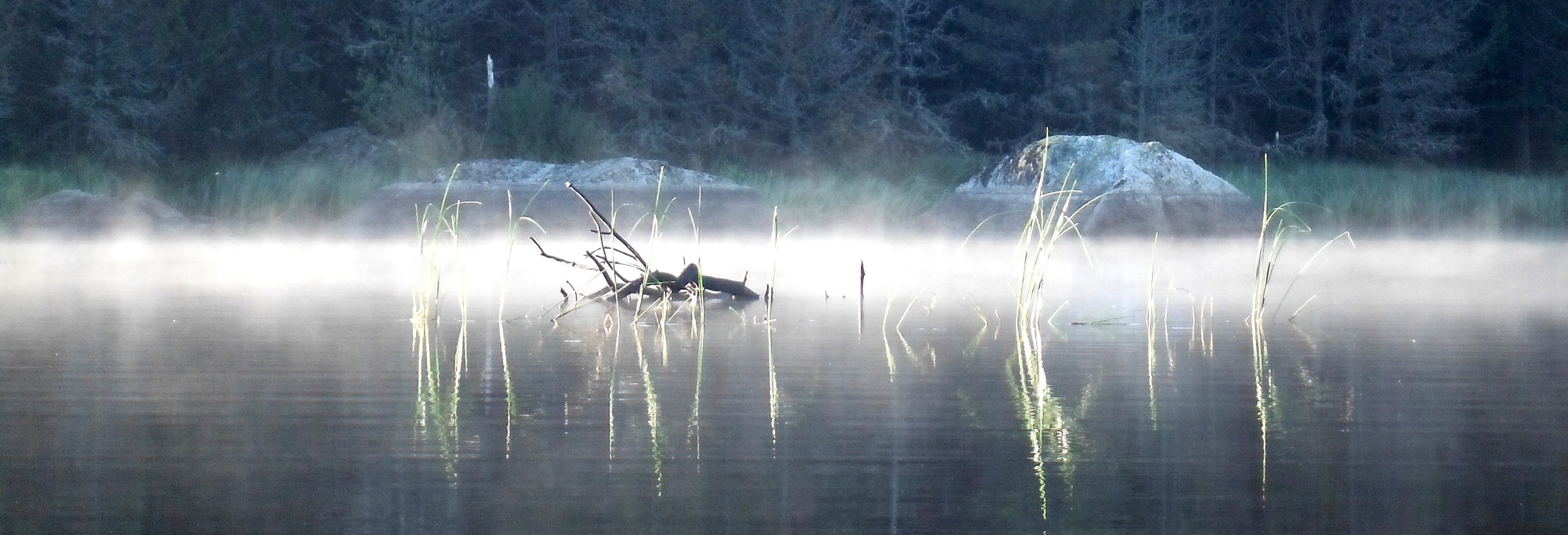 De plumes et d'acier