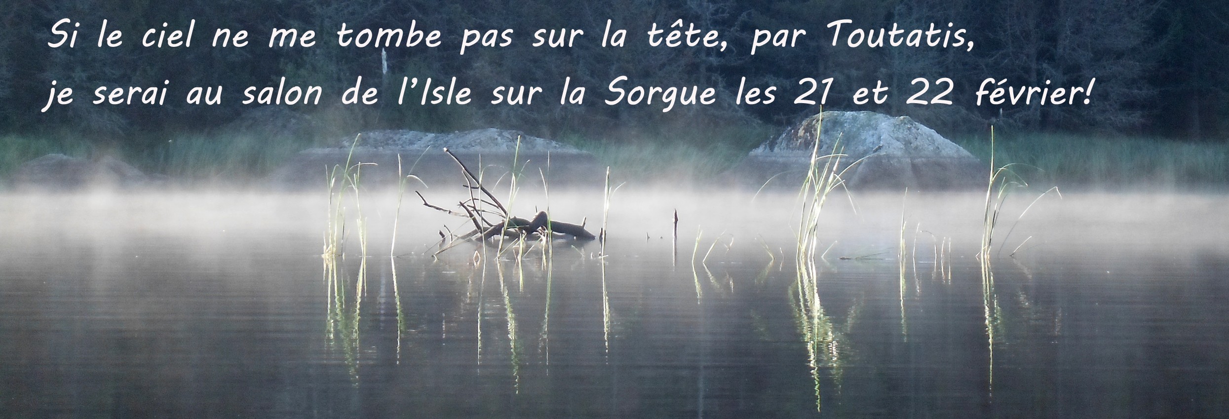 De plumes et d'acier